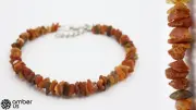 Raw Amber Dog Collar | Anti Tick and Flea | All Sizes, Adjustable Metal Strap