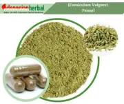 Capsule Of Pure Fennel (Foeniculum Vulgare) Organic Natural Herbal Herbs
