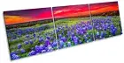 Sunset Landscape Bluebonnet Flowers TREBLE CANVAS WALL ART Box Frame Picture