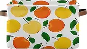 Fruit White Closet Shelf Organizer, Decorative Rectangle Home School Organizers