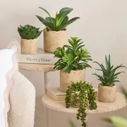 Bartel Potted Artificial Succulent [MUSHBARPSW25]