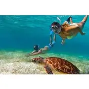 Save 15.01%! Adventurous-Snorkeling With Sightseeing of Montego Bay