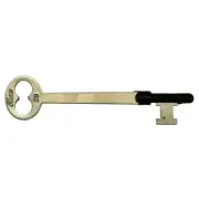 #2B Skeleton Keys (10 pcs.)