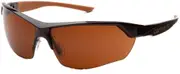 Carhartt Ratcheting Temple Safety Glasses for Men One Size