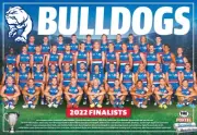 Western bulldogs team POSTER,AFL FOOTBALL,Premiers, swans,pies,books 1,blues