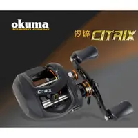 在飛比找蝦皮購物優惠-Okuma 寶熊  CITRIX汐焠 擬餌拋投捲線器 大龜