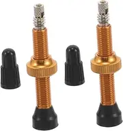 Anneome Pcs Leak Tubeless Valve Stems for Mountain Road Bikes Secure Bike Maintenance Stems Hardwearing Metal Construction