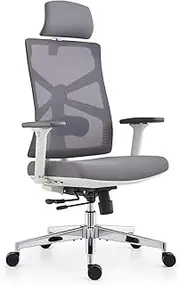 [HOLLUDLE] Ergonomic Office Chair with Adaptive Backrest, High Back Computer Desk 4D Armrests, Adjustable Seat Depth, Lumbar Support and 2D Headrest, Executive Task Chair, White