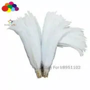 50Pcs Natural silver Pheasant feather 40-80 CM white Tail Black Pattern plumeage