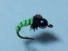Tungsten Caddis Larva Midge Emerger May Fly 24 HOT PATTERN FREE SHIPPING