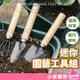 迷你園藝工具組【小麥購物】24H出貨台灣現貨【G166】鏟子 耙子 鐵鍬 花盆栽 多肉植物 栽種 鬆土工具 園藝 種花