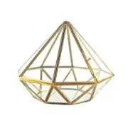 Geometric Glass Terrarium Box Handmade Cone Shape Glass Table Display Flower Pot