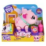 [TC玩具] LITTLE LIVE PETS 我的寵物小豬 寵物  原價1399 特價