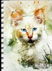 Password/Web Address Book 5" X 7" "Pretty Kitty"