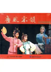 在飛比找博客來優惠-唐風宋韻：福建省梨園戲實驗劇團(5小盒10dvd)