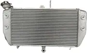 Engine Radiator Fit for Yamaha MT-03 MT-25 2016-2018 OEM B04E246100 Radiator Engine Cooler Cooling Motorcycle Radiator B04-E2461-00 Radiator Grille