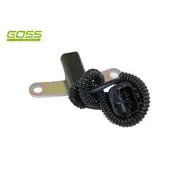 RAE Crankshaft Position Sensor - SC111