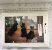2000 Susan Hamman PhotoCard, Squirrel Watch, Scottish Terriers, Emb. Edge, Cello