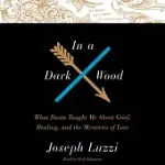 IN A DARK WOOD: WHAT DANTE TAUGHT ME ABOUT GRIEF, HEALING, AND THE MYSTERIES OF LOVE; LIBRARY EDITION