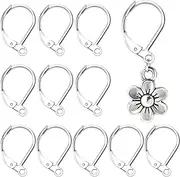 Alpinleux 12 Pcs Leverback Earring Hooks, Stainless Steel Clasp Hoops, Hypoallergenic Dangles Earring Hooks, French Ear Wire Findings for Women, DIY Crafts, Jewelry Making (Silver)
