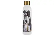 Ashdene Puppy Love Border Collie Drink Bottle 24.5cm Water Container White