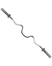 Sunny Health & Fitness 49in Olympic Super Curl Bar with Ring Collars