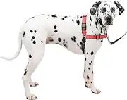 PetSafe Easy Walk Deluxe Dog Harness, No Pull Dog Harness – Perfect for Leash & Harness Training – Stops Pets from Pulling and Choking on Walks – Large, Rose