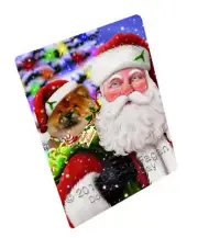 Jolly Old Saint Nick Santa Chow Chow Dog Woven Throw Sherpa Blanket T47