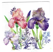 2 Paper Napkins Serviettes for Decoupage Papercraft Cardmaking Collage -Irises