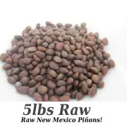 New Mexico Piñon, Pinon Pine Nuts, 2024 Harvest, Very Limited Time, 5lbs Raw