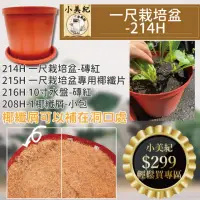 在飛比找momo購物網優惠-【小美紀】1尺栽培盆組合-磚紅 10寸水盤-磚紅 專用椰纖片