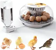 FOHOA 12 Eggs Digital Automatic Egg Incubator - Hatching Eggs with Fully Automatic Turner and Humidity Control