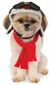 Aviator Hat Scarf Set Pilot Fancy Dress Halloween Pet Dog Cat Costume Accessory