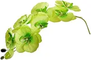 2 Pcs Artificial Orchid Flower Stems 37.5 inch Faux Green Phalaenopsis Flower Branches 8 Heads Silk Real Touch Butterfly Phalaenopsis Orchid Fake Cymbidium Stems for Wedding Home Garden Decoration