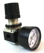 1/4" MINI REGULATOR With GAUGE FOR COMPRESSOR COMPRESSED AIR PRESSURE