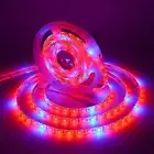 LED Grow Light Strip UV Full Spectrum Strip Growing Lamp Plant Indoor Flower 12V