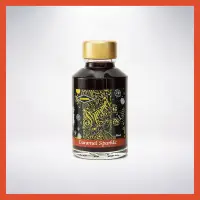 在飛比找Yahoo!奇摩拍賣優惠-英國 Diamine Shimmertastic Ink 新