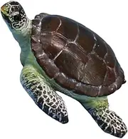VANZACK 1pc Realistic Turtle Ornament for Aquarium Decor Vivid and Chic Turtle Model for Fish Tank Landscape Durable and Easy to Clean
