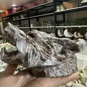 natural jade quartz crystal handmade tiger head skull healing gift decor 1pc