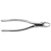 Hand Instruments Surgical Extraction Standard Forceps By Brasseler (1/Pack)