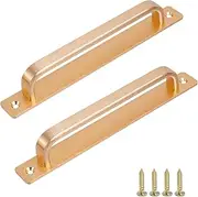 [Pastlla] 2Pcs Barn Door Handle Kitchen Cabinet Drawer Handle Sliding Barn Door Pull Aluminum Alloy Flush Flat Base Cabinet Panel Pull (7.56" Hole Center, Gold)