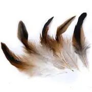 50Pcs Hackle Feathers Natural Neck Feathers For Craft DIY