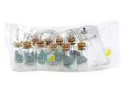 2m 10LED Merry Christmas Wishing Bottle Light String Copper Wire Battery Box