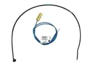 Raypak (010787F) Water Temperature Sensor 10K