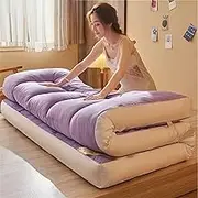 Single Double Folding Guest Mattress, Japanese Floor Mattress, Thick Roll Up Guest Mattress, Portable Mattress for Sofa Recliner Couch Guest Dormitory