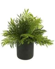 Creative Displays Outdoor UV-Rated Ostrich Fern in Fiberstone Pot NoSize Green