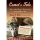 Comet’s Tale: How the Dog I Rescued Saved My Life