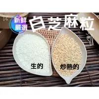 在飛比找蝦皮購物優惠-『穀粉茶包小棧』《新鮮嚴選 白芝麻粒》生白芝麻 熟白芝麻 ~