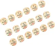 UPKOCH Wooden Monthly Milestone Discs 18pcs Baby Age Milestone Blocks Newborn Months Signs Photo Prop
