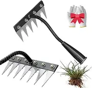 Iron Rake 2.0, Iron Rake for Gardening and Weeding, Heavy Duty Carbon Steel Dethatching Rakes with Gloves, Bolt-Reinforced and Removable, for Loosening Soil and Yard Garden Cleanup (6 Tines)